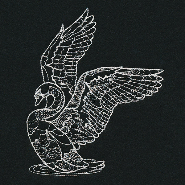 Delicate Swan - Image 3