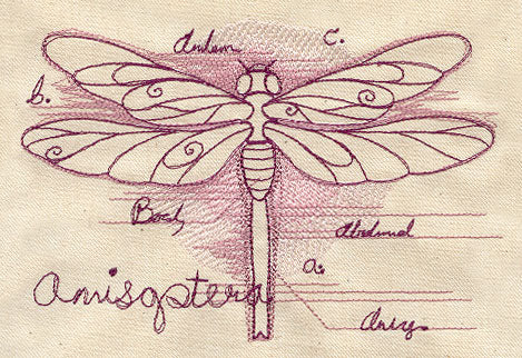 Dragonfly Diagram - Image 3