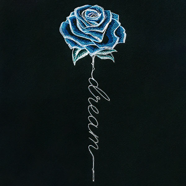 Dream Rose in Bloom
