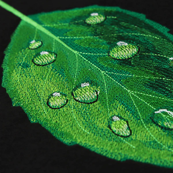 Early Morning Dew Drops Leaf - Image 4