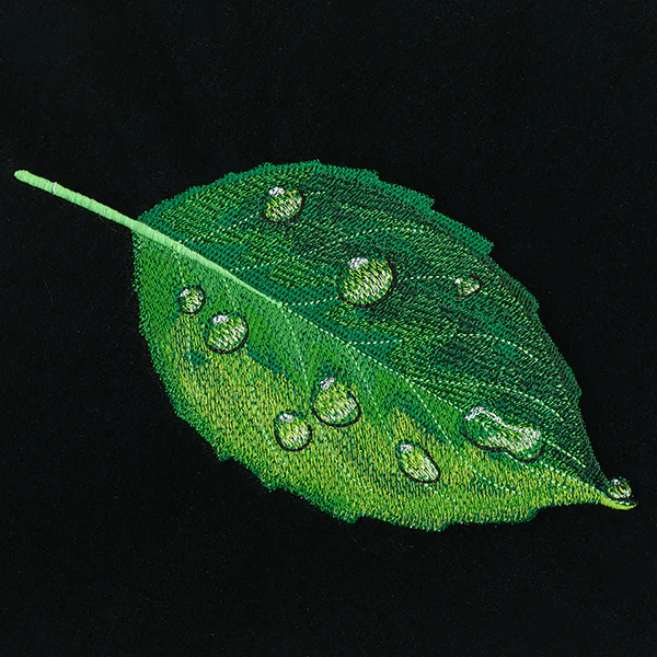 Early Morning Dew Drops Leaf - Image 7