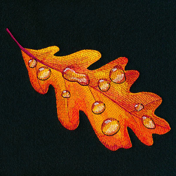 Early Morning Dew Drops Oak Leaf - Image 3