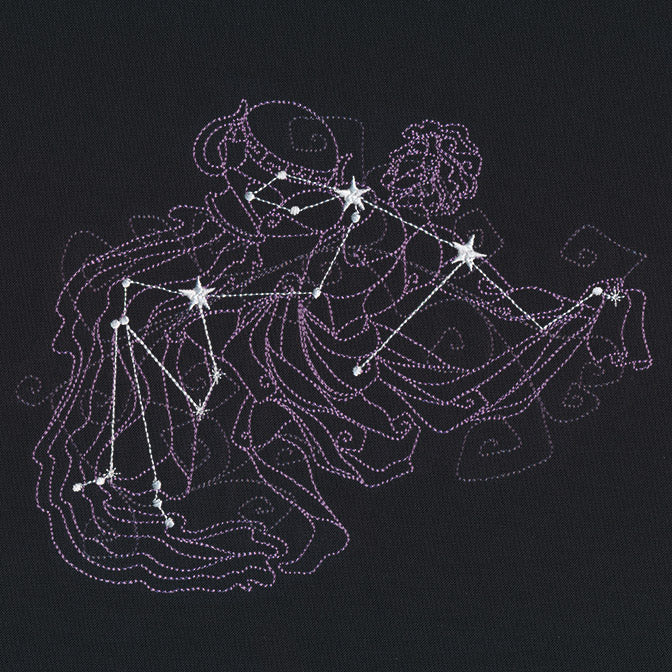 Ecliptic Constellations - Aquarius - Image 5