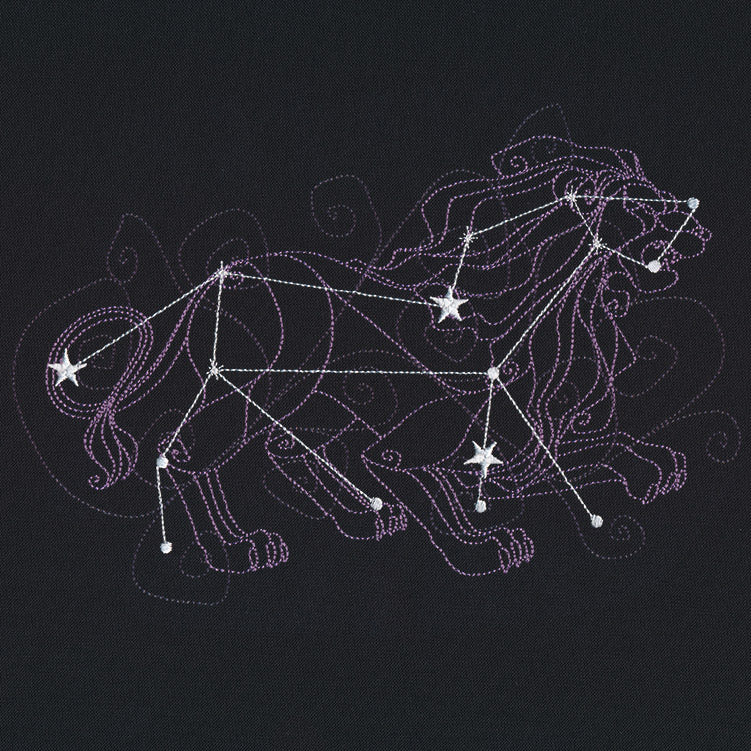 Ecliptic Constellations - Leo - Image 5