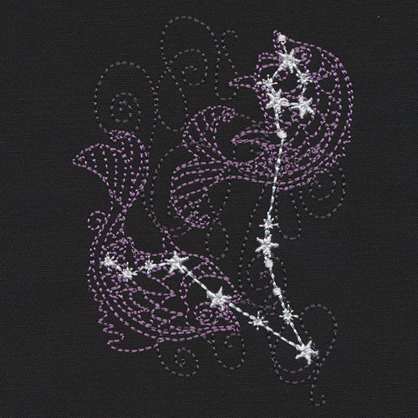 Ecliptic Constellations - Pisces - Image 2