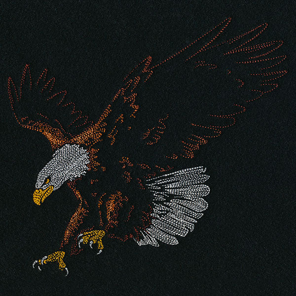 Emerging Eagle - Image 2