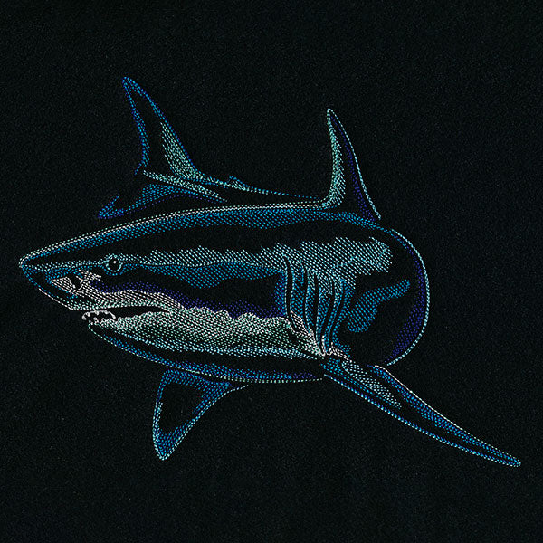 Emerging Shark
