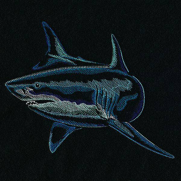 Emerging Shark - Image 4