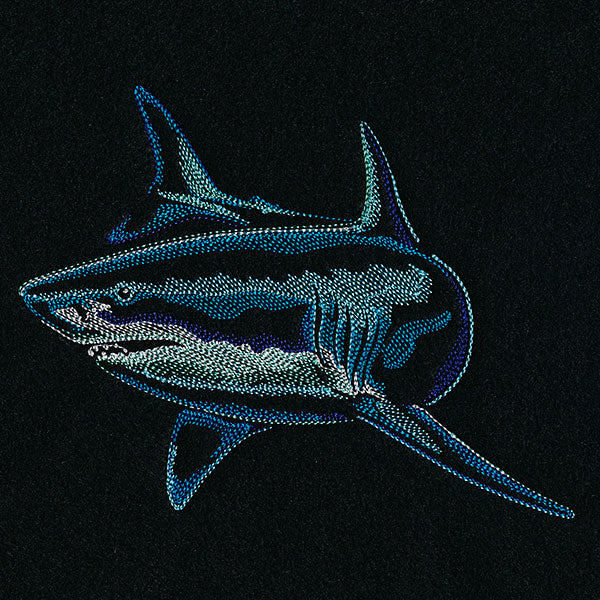Emerging Shark - Image 7
