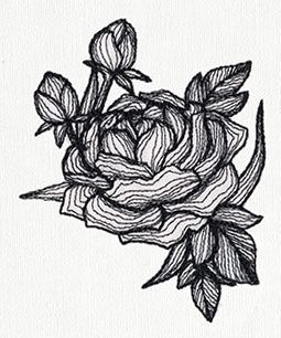 Engraved Peony - Image 4
