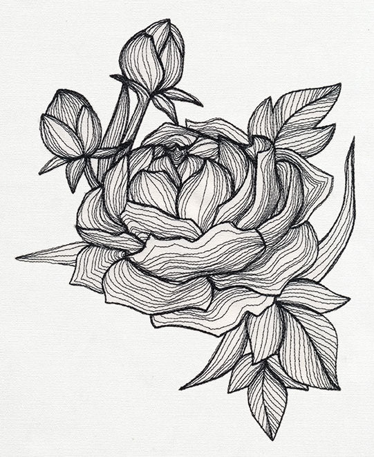 Engraved Peony - Image 5