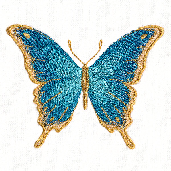 Everlasting Butterfly - Image 4
