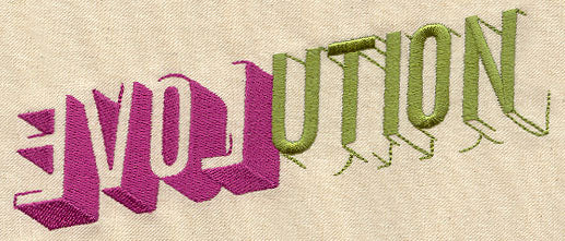 Evolution - Image 2