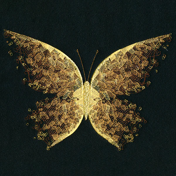 Fade into Flutters - Image 9
