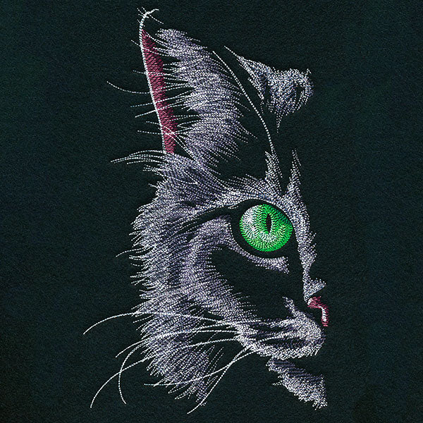 Feline Fierce Kitty