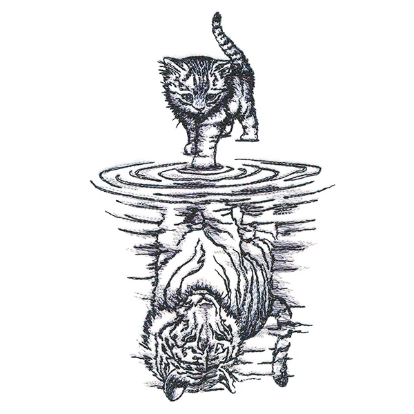 Feline Reflection - Image 7