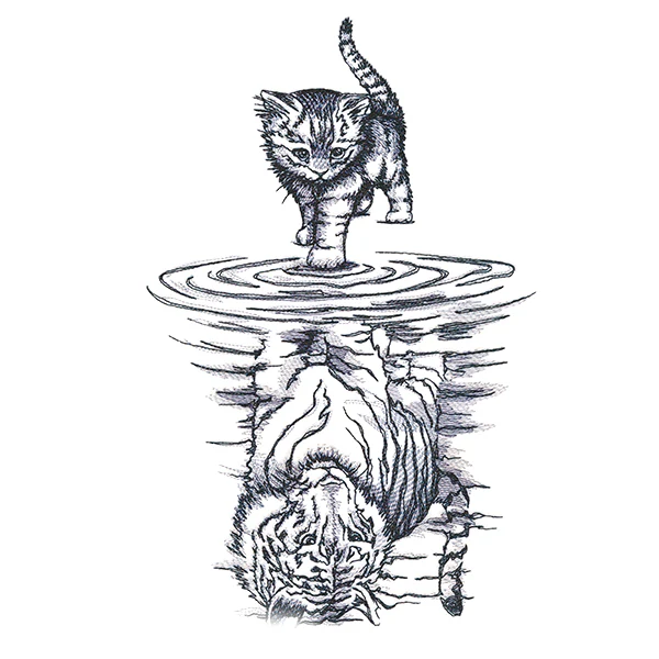Feline Reflection - Image 9