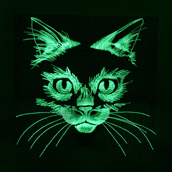 Flickering Feline - Image 9