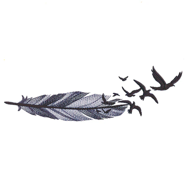 Flight as a Feather - Image 3