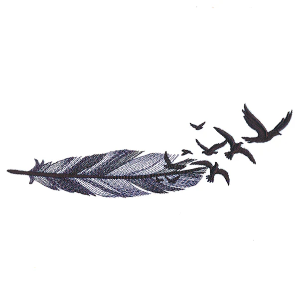 Flight as a Feather - Image 4