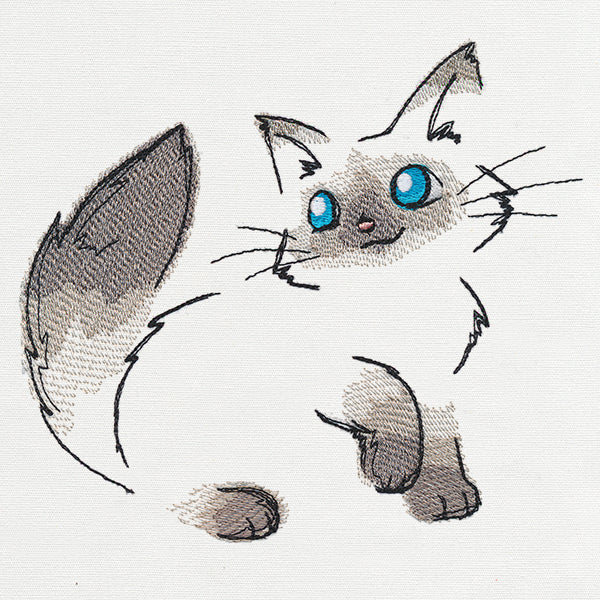 Fluffy Kitty - Image 4