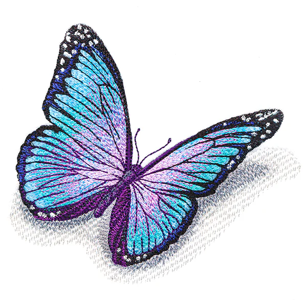 Fluttering Shadows Butterfly - Image 5
