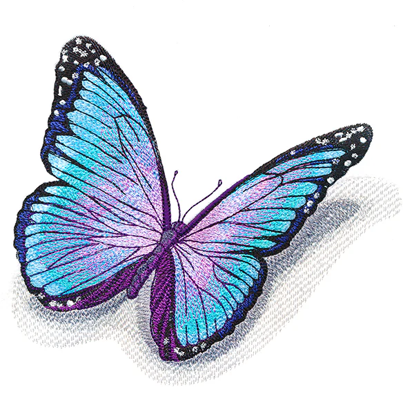 Fluttering Shadows Butterfly - Image 7
