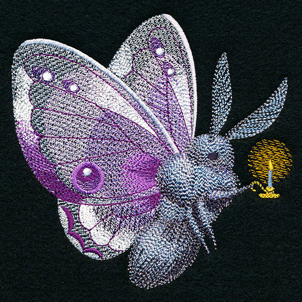 Follow the Light Moth - Image 5