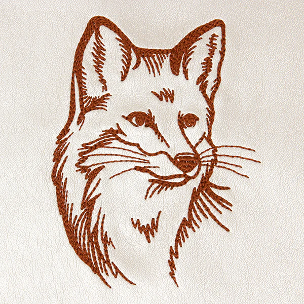 Friendly Fox - Image 4
