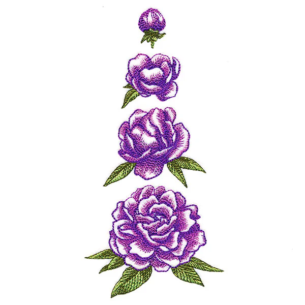 From Bud to Bloom Peony - Image 7