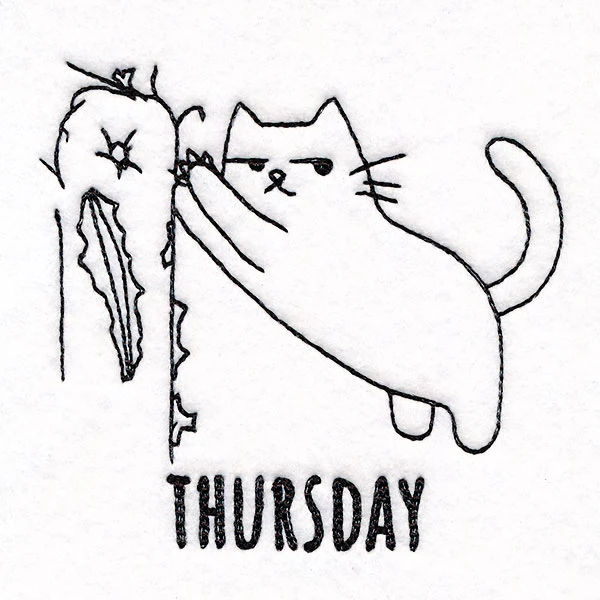Furniture Scratching Cat on Thursday - Image 2
