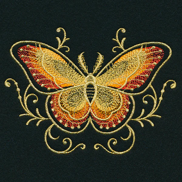 Gilded Mirage Moth - Image 5