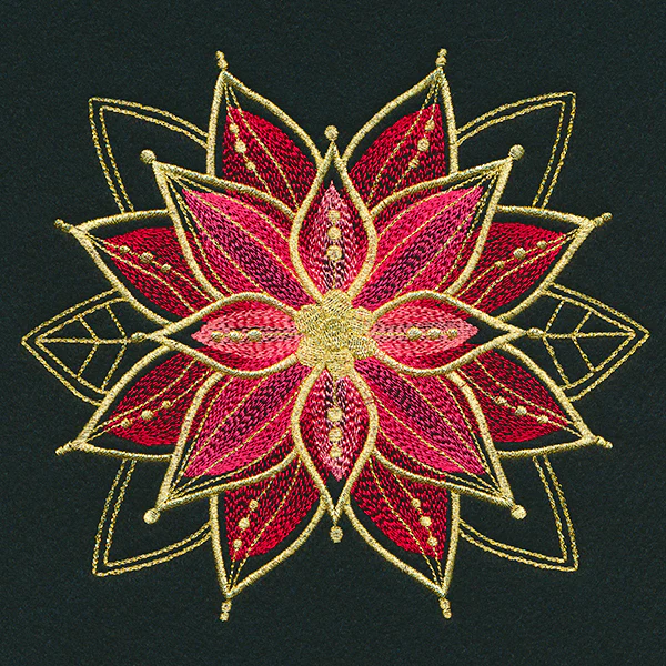 Gilded Mirage Poinsettia - Image 3