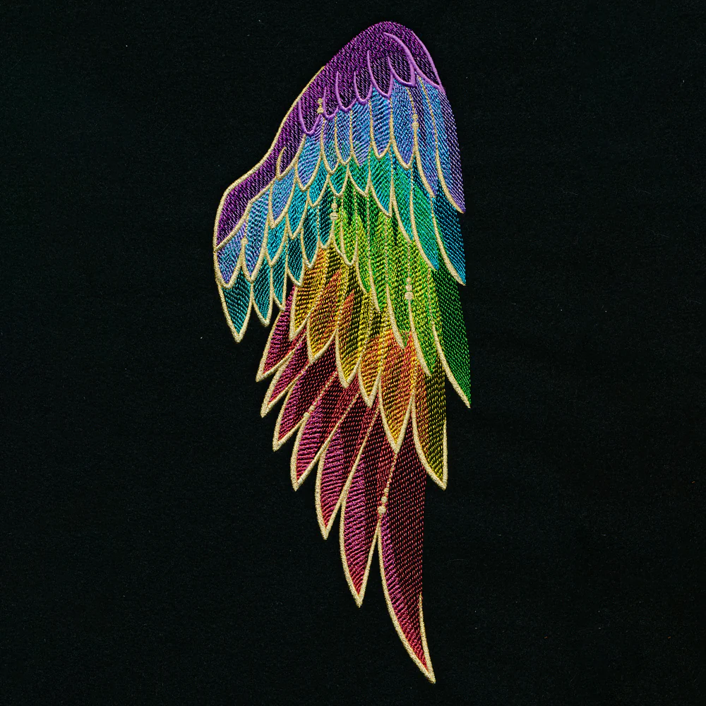 Gilded Rainbow Wing Pair Set - Image 7