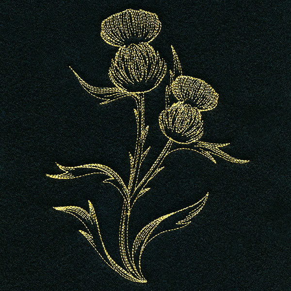Golden Thistle - Image 5