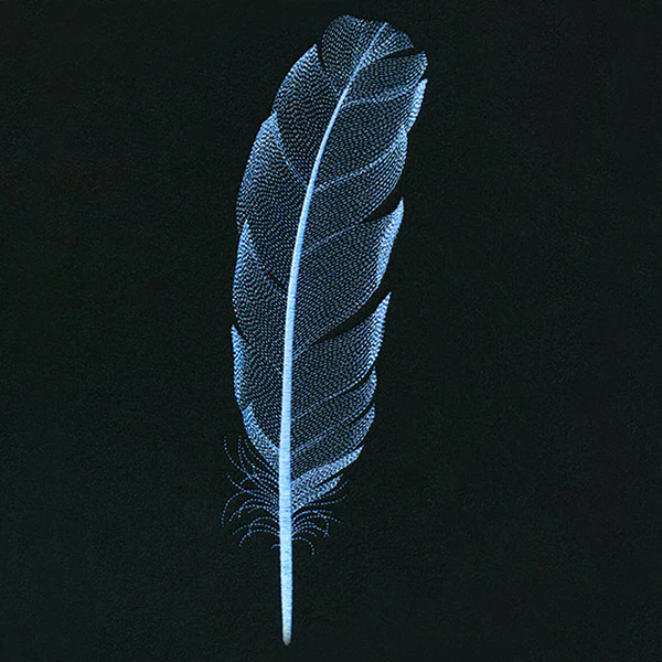 Graceful Feather - Image 11
