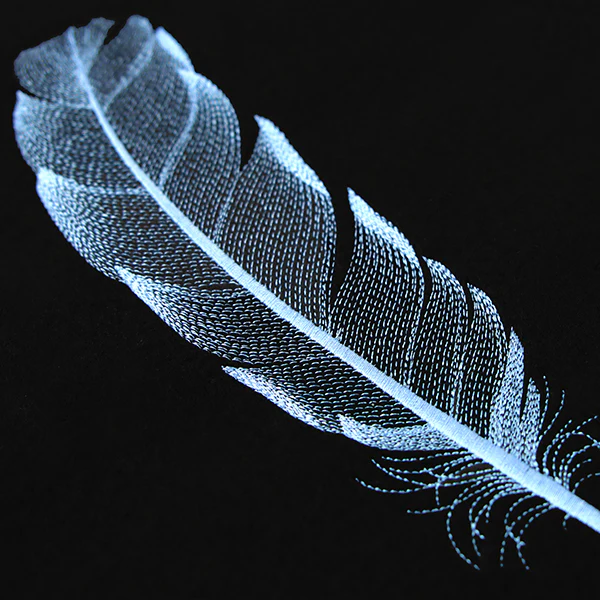 Graceful Feather - Image 6