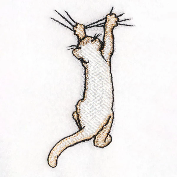 Hang in There Kitty - Image 9