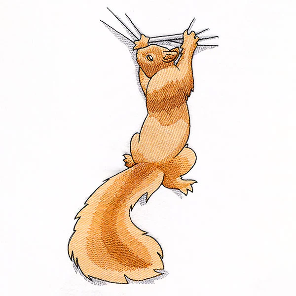 Hang in There Squirrel - Image 10