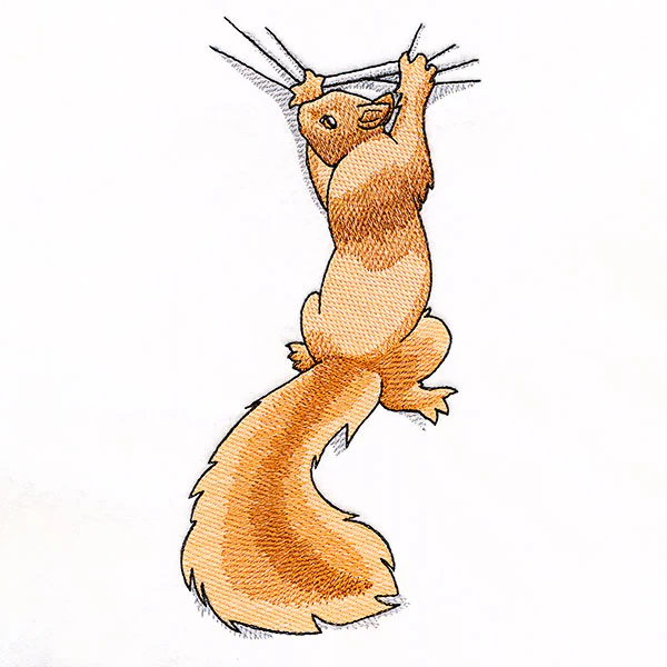 Hang in There Squirrel - Image 3