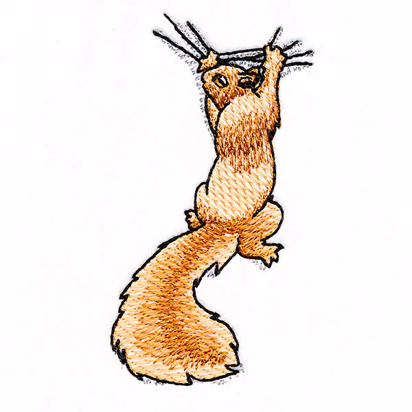 Hang in There Squirrel - Image 9