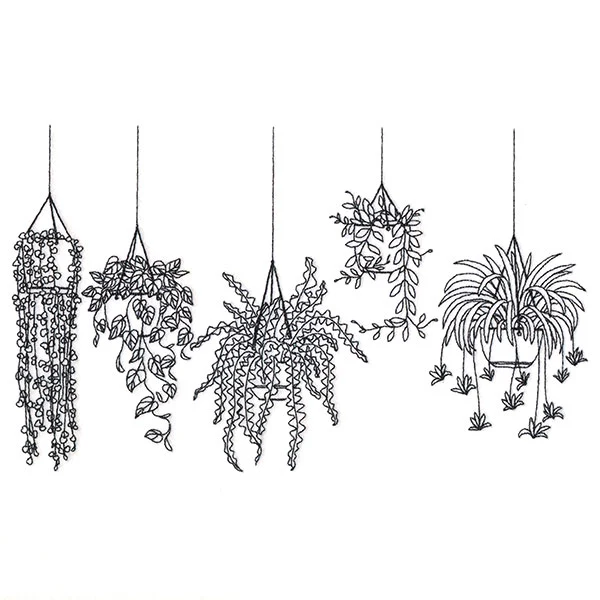Hanging Houseplants Border - Image 2