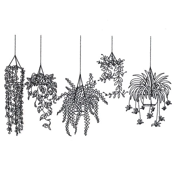Hanging Houseplants Border - Image 5