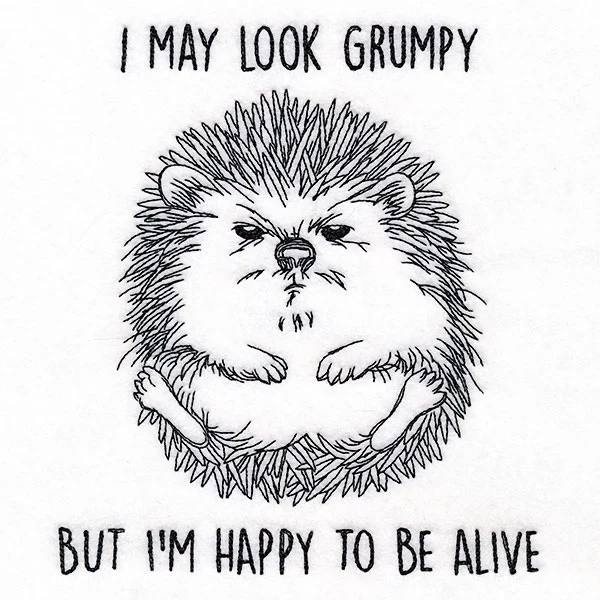 Happy to Be Alive Hedgehog - Image 3