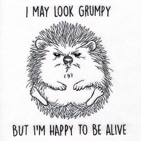 Happy to Be Alive Hedgehog - Image 9