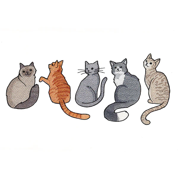 Hey Meow Cat Border - Image 9