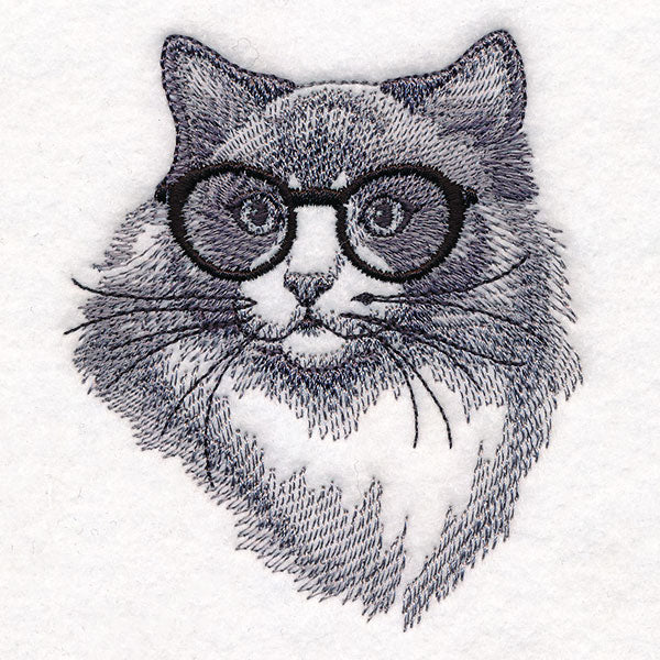 Hipster Ragdoll Cat - Image 3