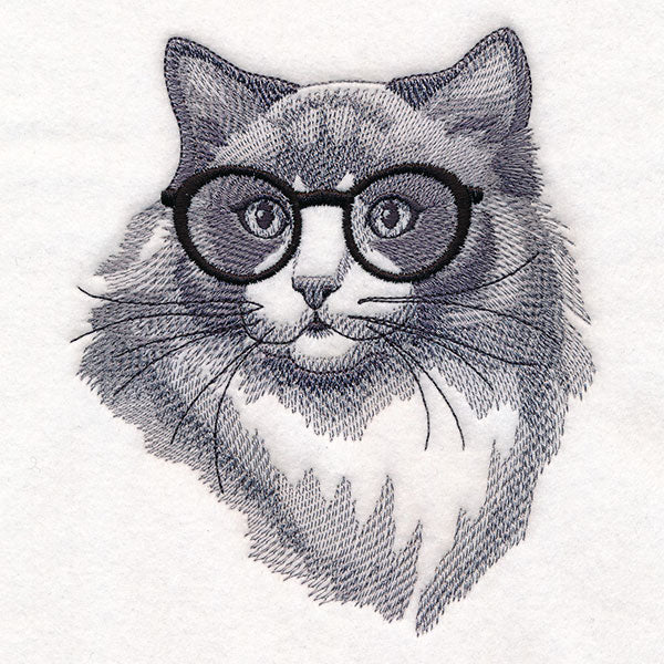 Hipster Ragdoll Cat - Image 4