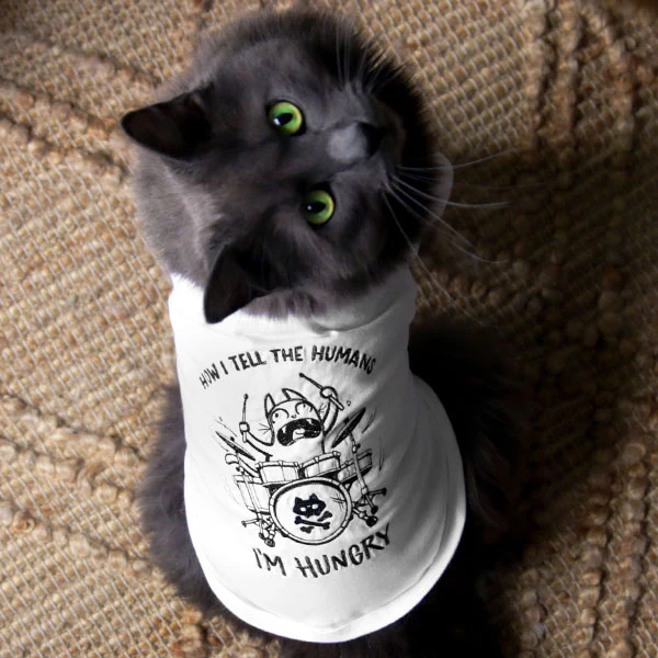 How I Tell The Humans Cat - Image 7