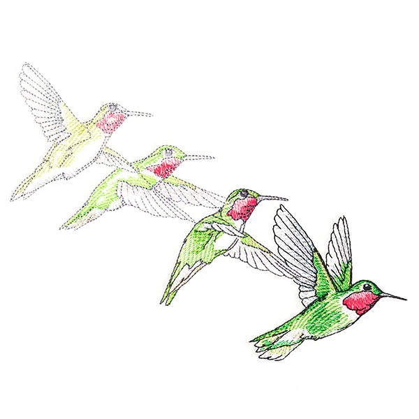 Hummingbirds in Flight - Image 2